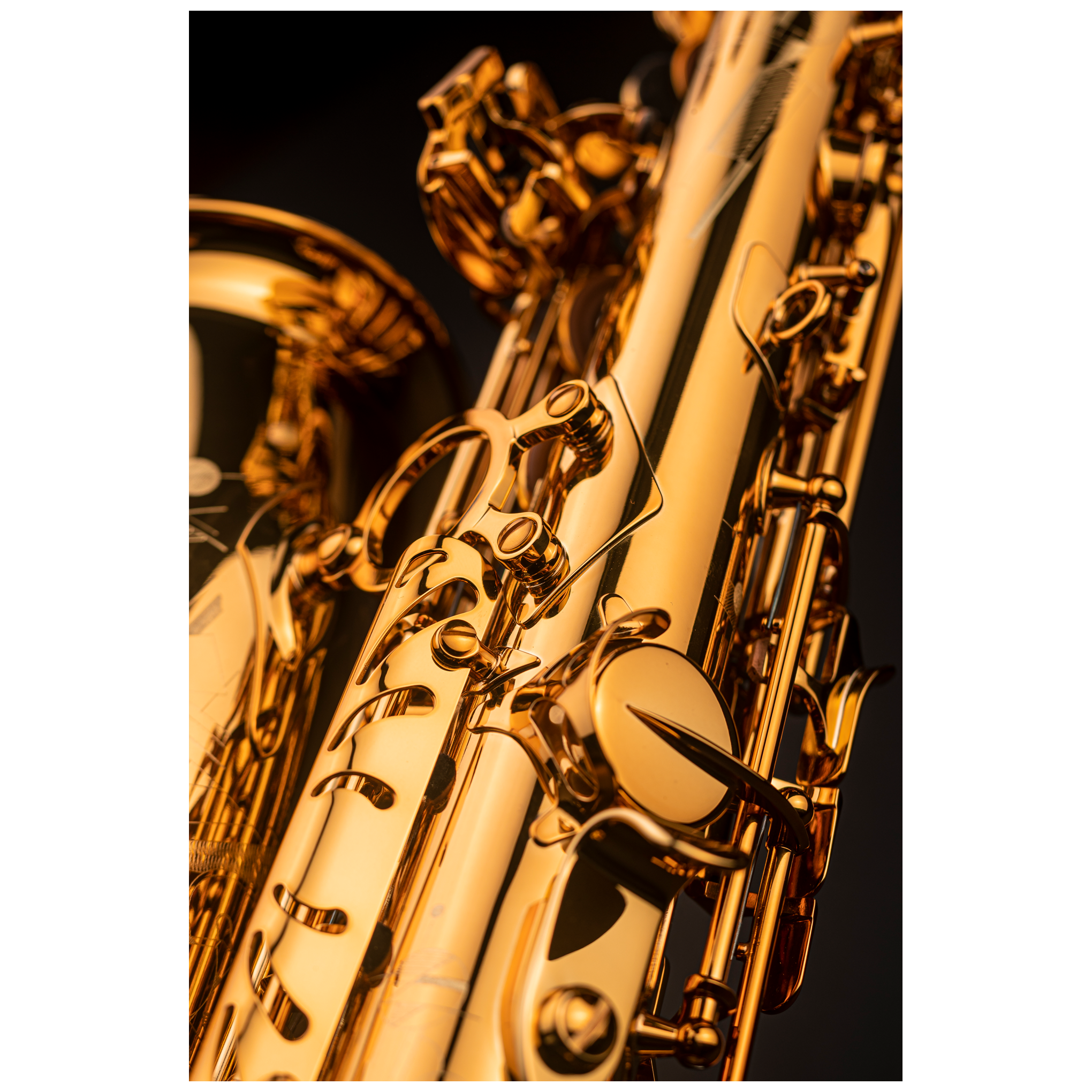 Selmer Signature Altsaxophon Goldlack 3
