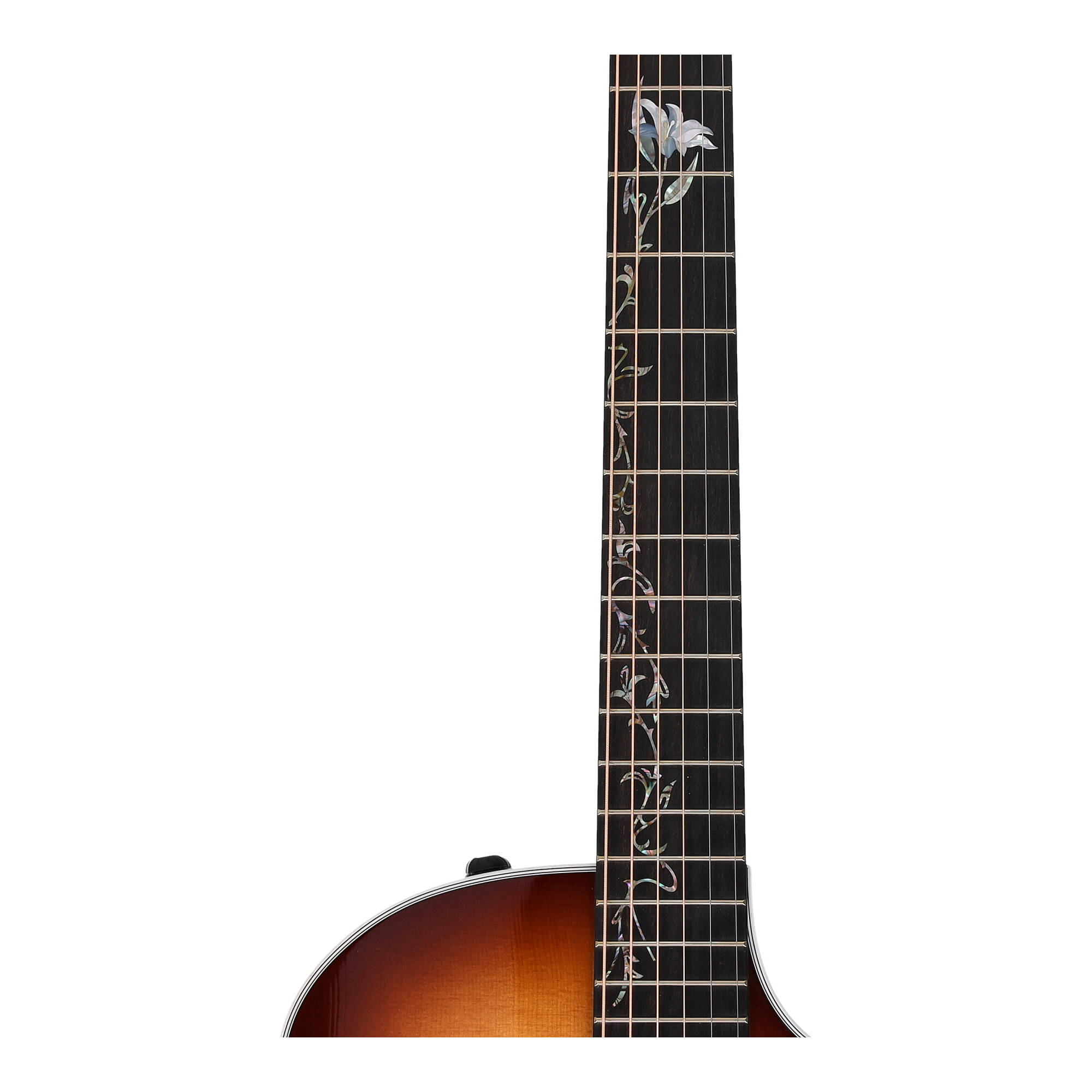TAYLOR 414ce-R LTD - Lily Vine Inlay SEB 6