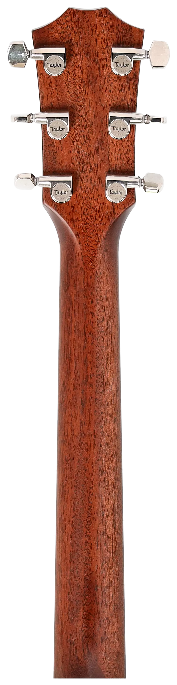 Taylor 314ce LH Next Generation 12