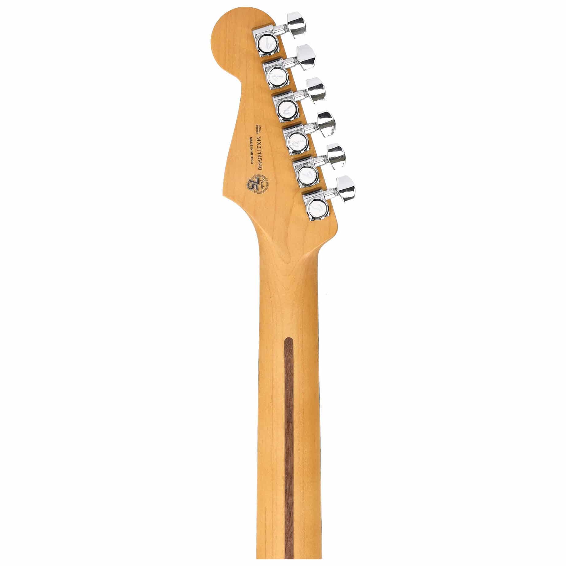 Fender Player Plus Stratocaster HSS PF BLB 6