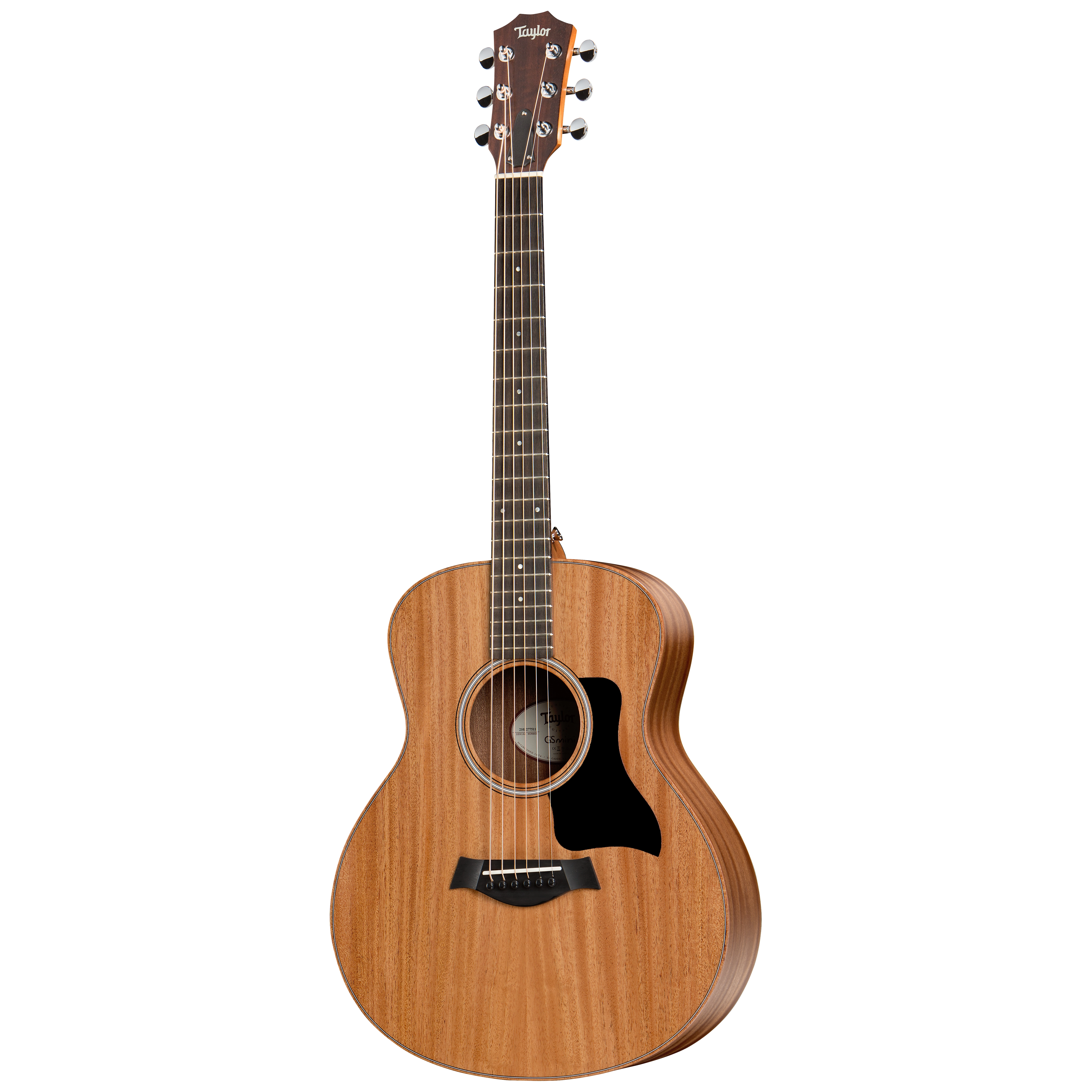 Taylor GS Mini Mahagoni 4