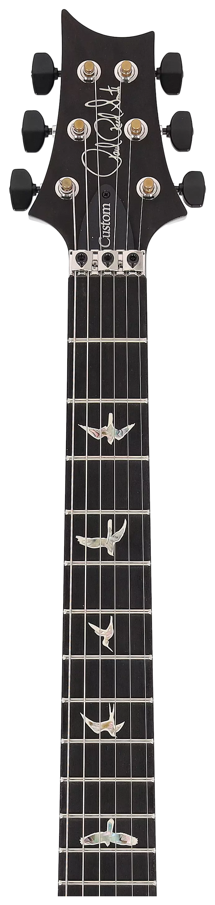 PRS Custom 24 Floyd Gray Black #1 10