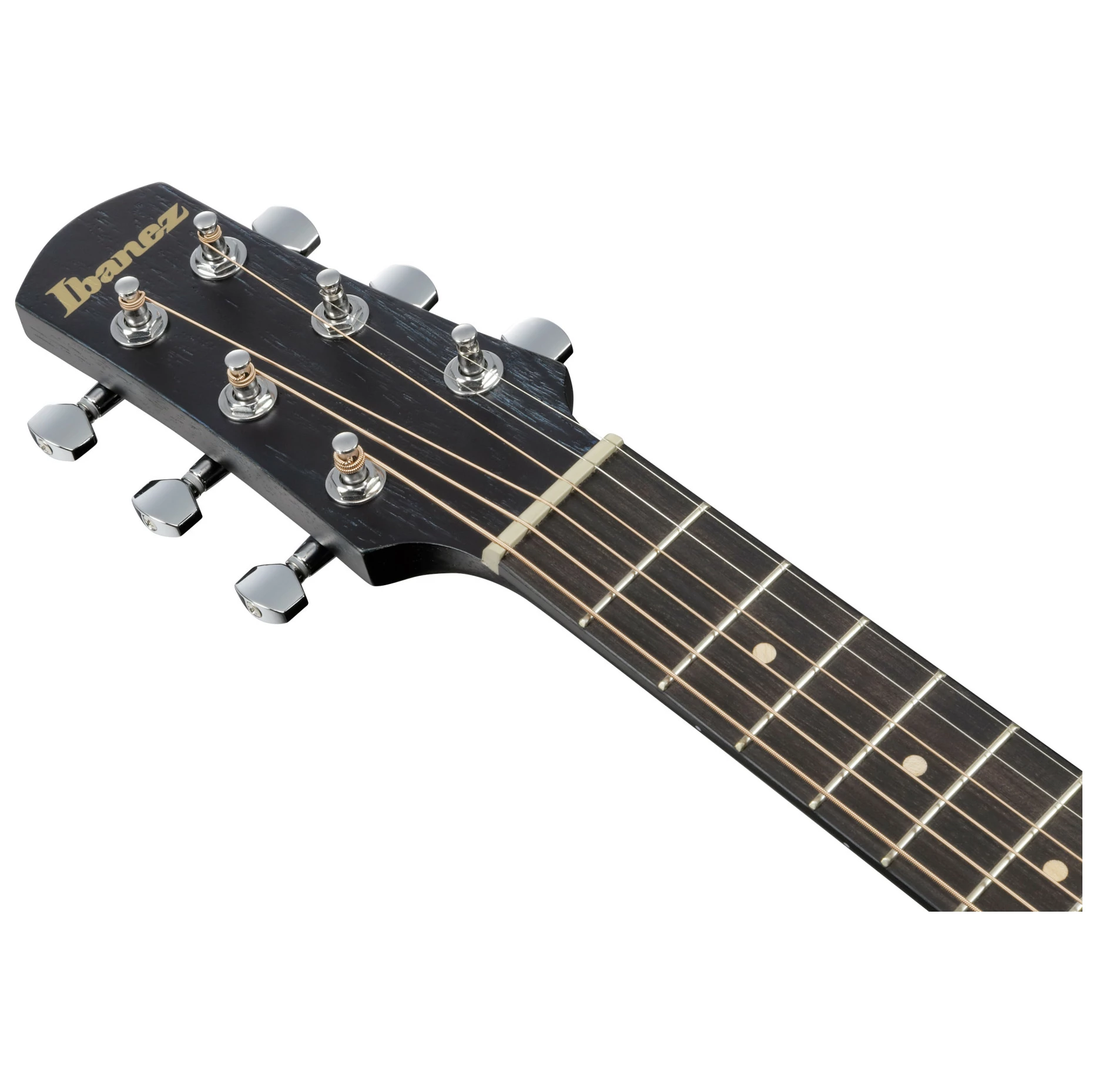 Ibanez EWP16EWB-GAO 3