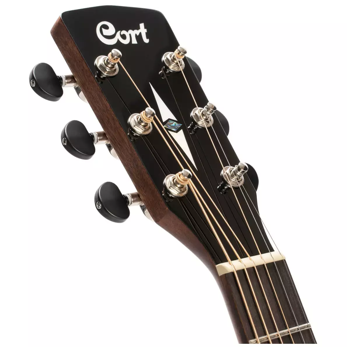 Cort SFX-Myrtlewood 9