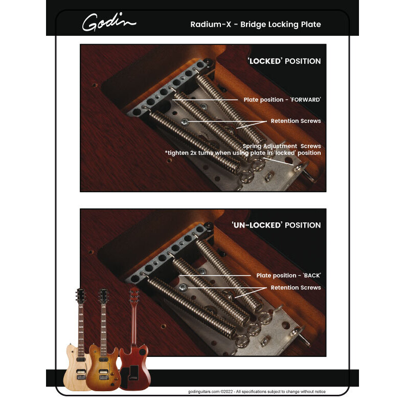 Godin GODIN Radium-X Rustic Burst 3