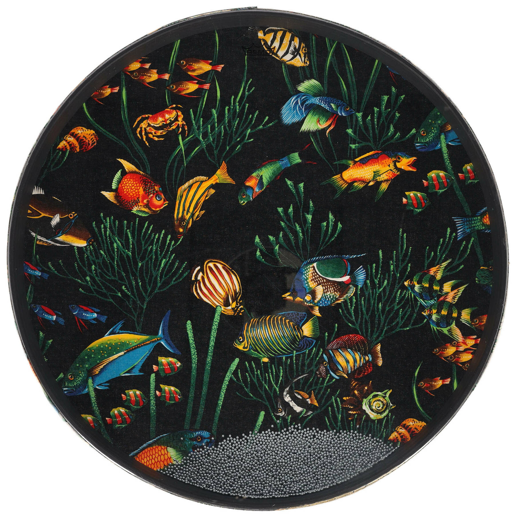 Remo Ocean Drum - 22 x 2,5 Zoll - Aquarium