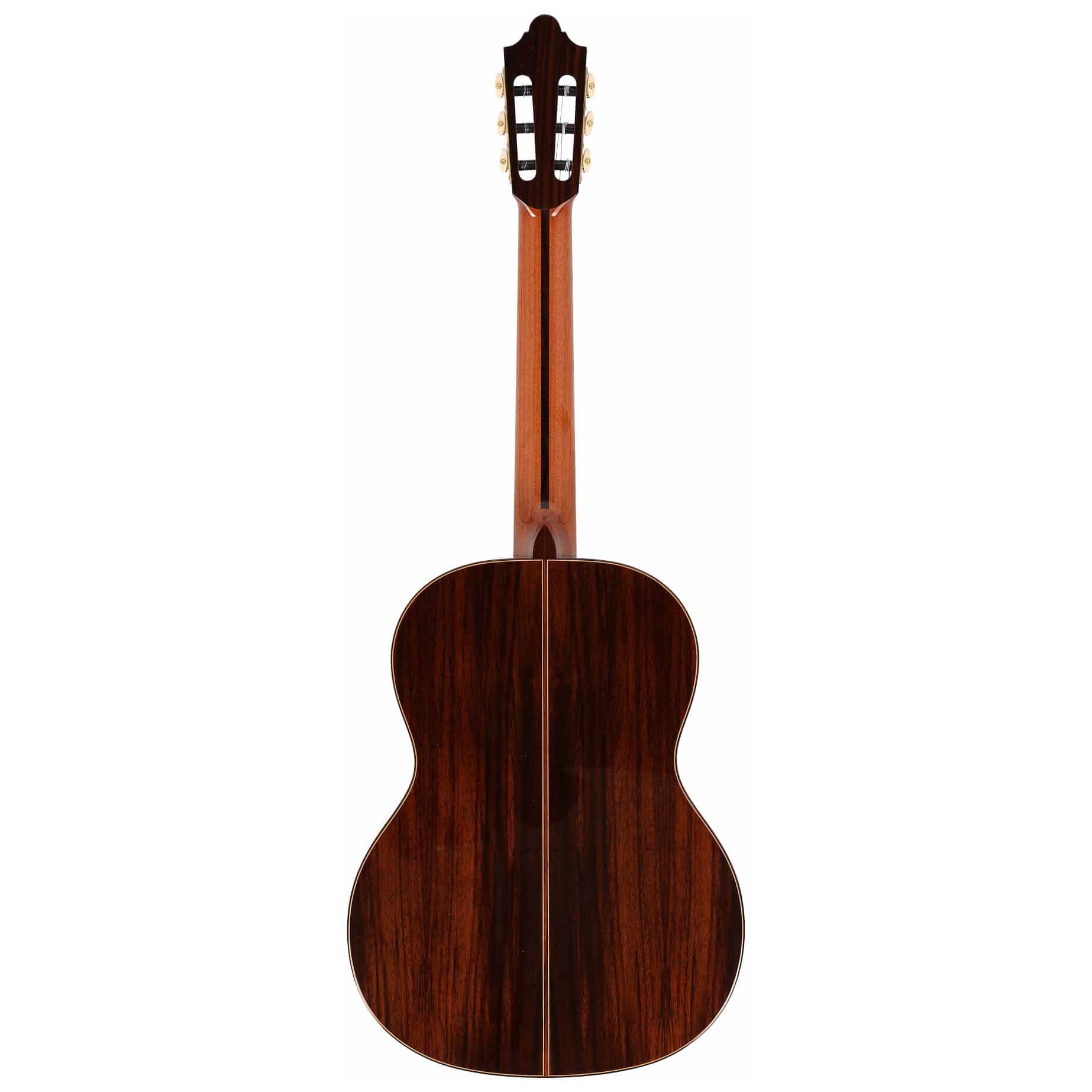 Duke Guitars - Duke Guitars Student F - 6