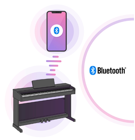 Bluetooth Audio & Midi