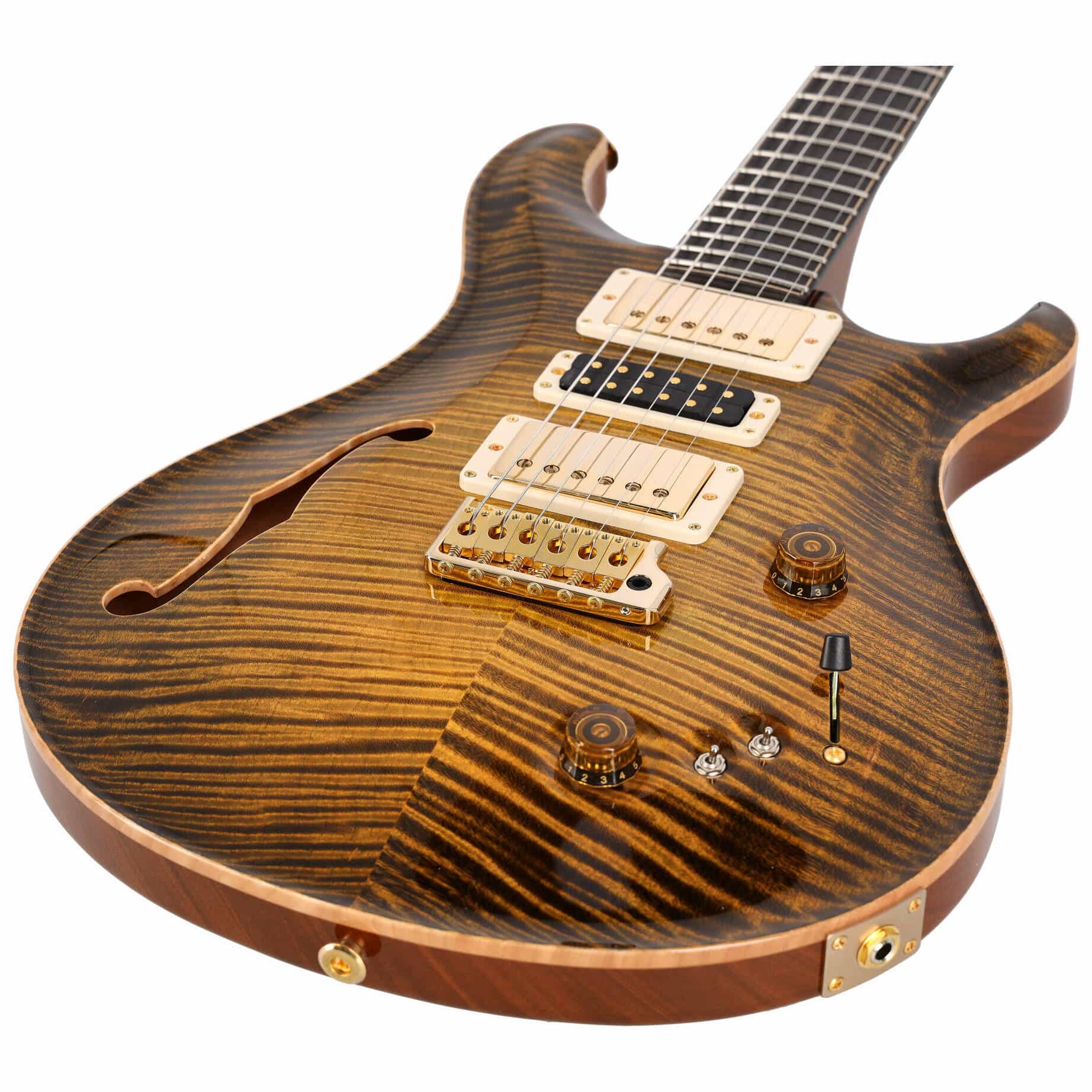 PRS Special 22 Semi Hollow Birds of a Feather Tiger Eye Glow Private Stock 2