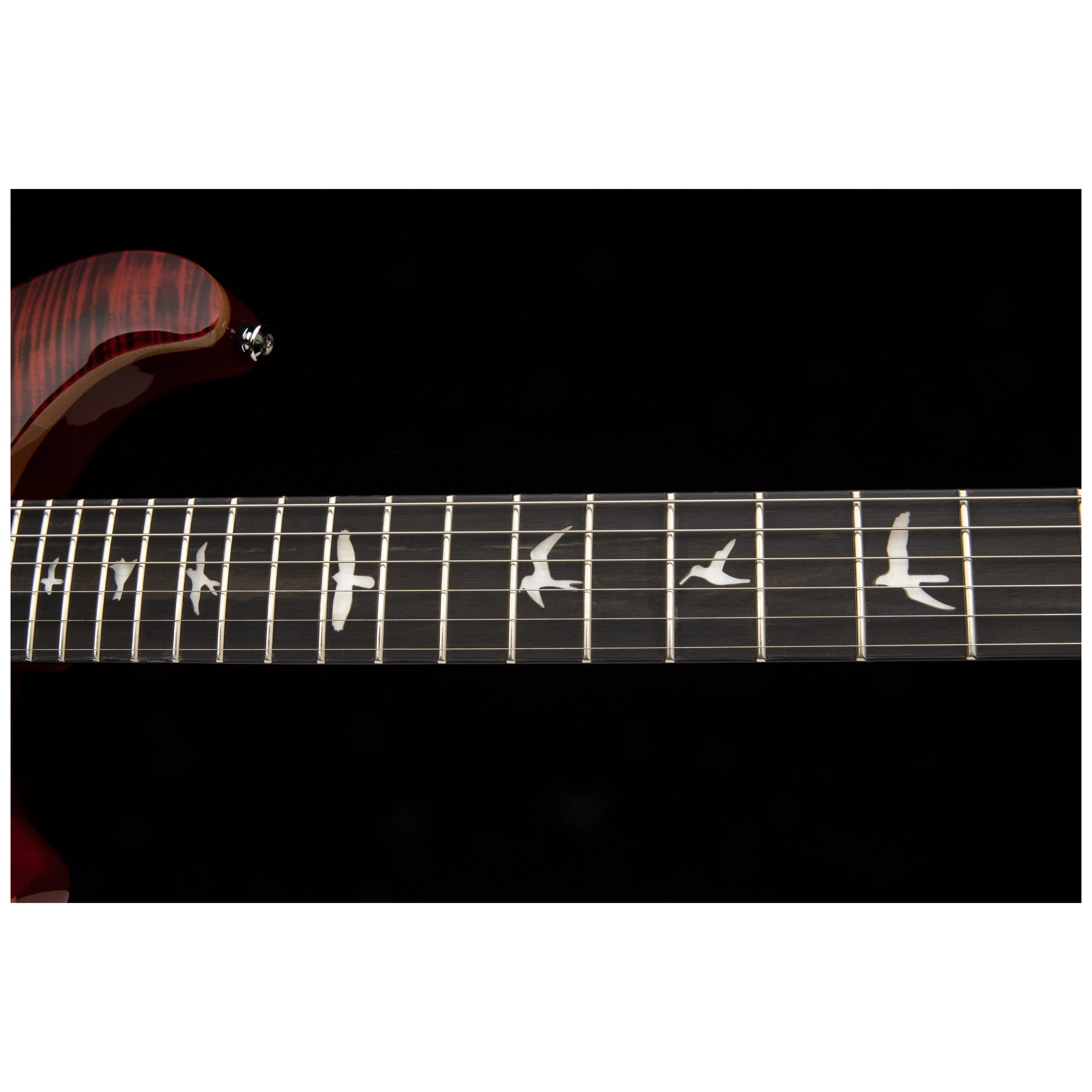 PRS SE Custom 24 Floyd Charcoal Cherry Burst 4