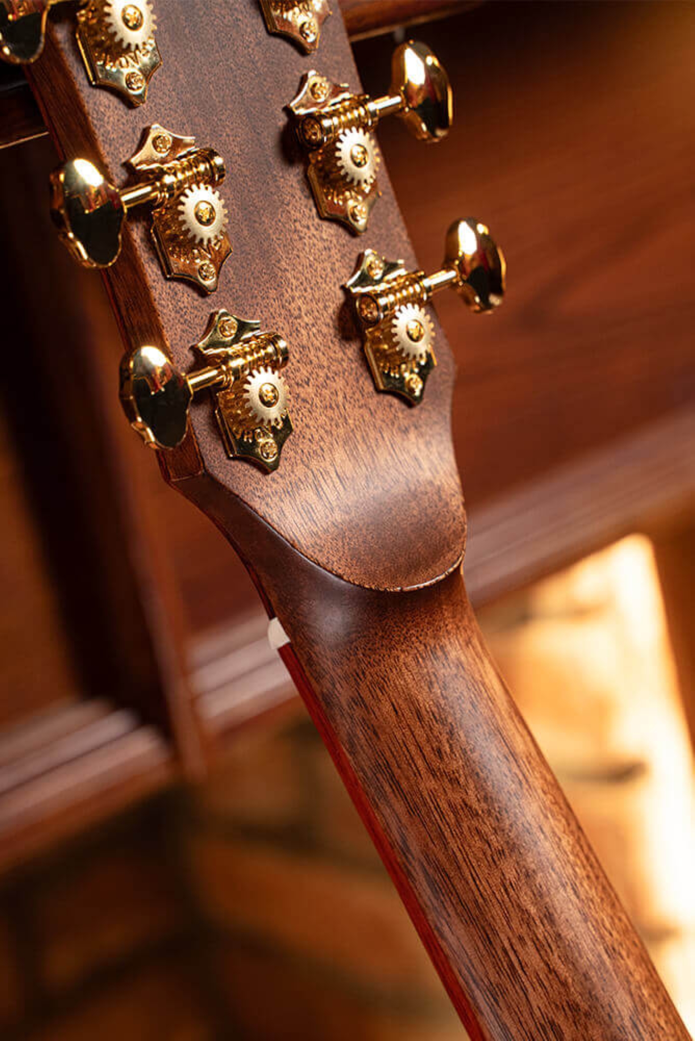 Image of Cort acoustic electric gold a10 cocobolo feature 10