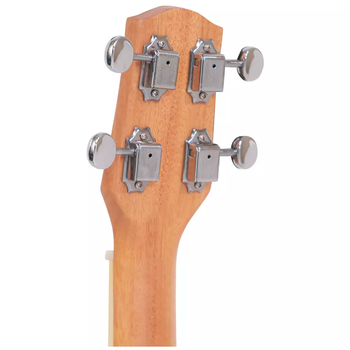 Gold Tone RESOUKE Maple C Concert 7