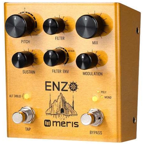 Meris - Meris Enzo Multi Voice Oscillator Synthesizer - 2