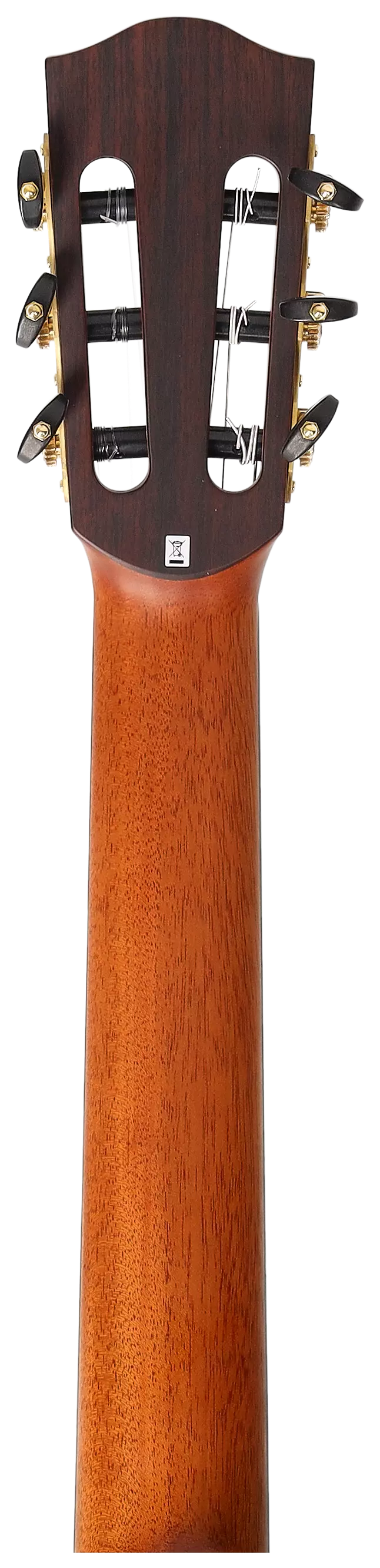 Duke Guitars Crossover PCE Signature Julie Malia aka Jule Malischke 12