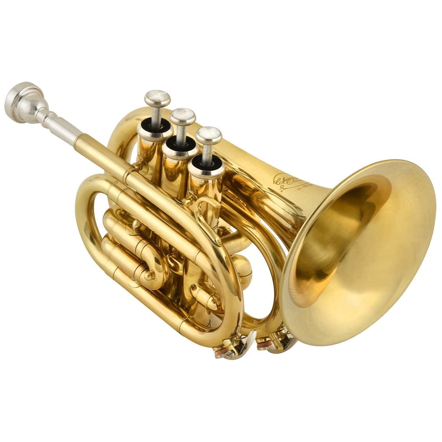 Chicago Winds CC-TR1100L B-Trompete Trumpet Mundstück KofferNeu 
