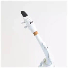 Stalaxy Alto Sax Lunar 4