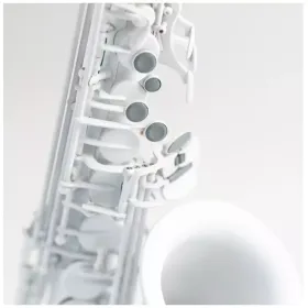 Stalaxy Alto Sax Lunar 5