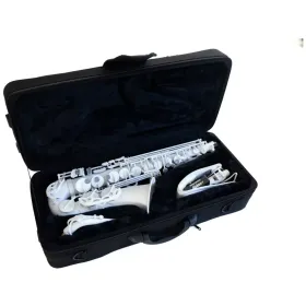 Stalaxy Alto Sax Lunar 6