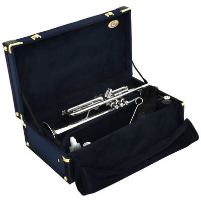 B S - B S 3137 2 PCL Philip Cobb Challenger Special Custom B-Trompete - 7