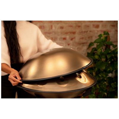Meinl Sonic Energy HPSTL91 - Sensory Handpan, D Amara, D / A C D E F  G A C  11