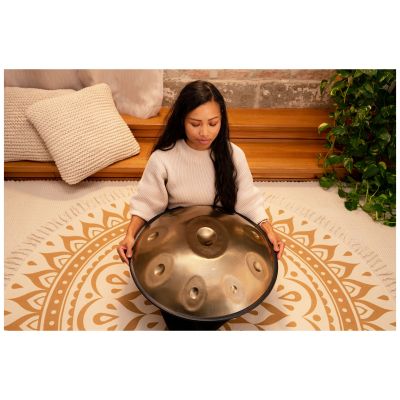Meinl Sonic Energy HPSTL91 - Sensory Handpan, D Amara, D / A C D E F  G A C  9