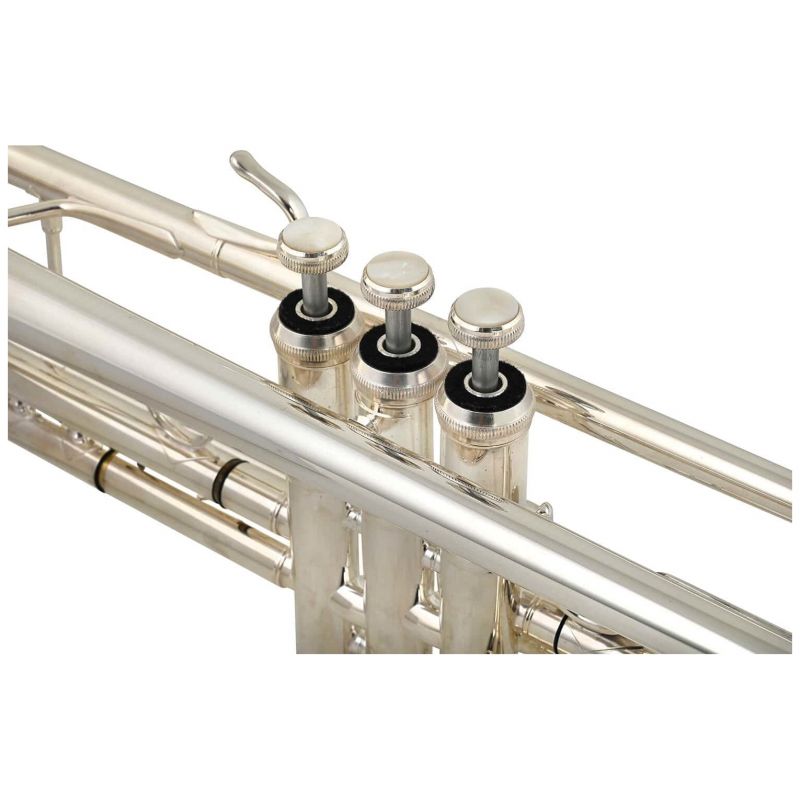 B S - B S 3137 2 PCL Philip Cobb Challenger Special Custom B-Trompete - 6