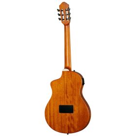 Ortega TourPlayer RTPDLX-FMA