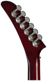 Epiphone Extura Prophecy Aged Bengal Tiger Burst 4